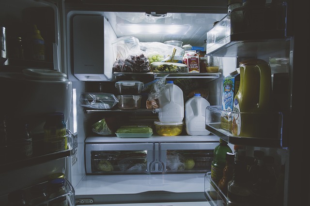 Refrigerator and Freezer maintenance