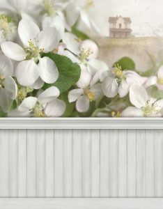 Spring wall with baseboard